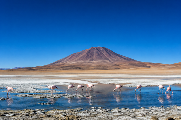 MontiPower in Action — Bolivia, ready for coating - No. 2