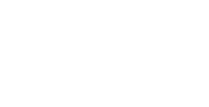 Bristle Blaster logo white home